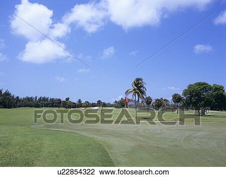 Golf course, Florida, USA View Large Photo Image Stock Image - Golf course, Florida, USA. Fotosearch
