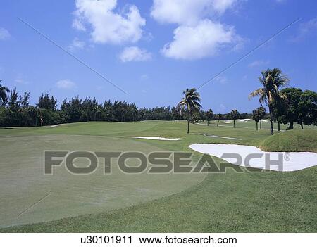 Golf course, Florida, USA View Large Photo Image Stock Image - Golf course, Florida, USA. Fotosearch