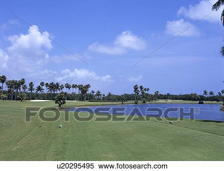 Golf course, Florida, USA View Large Photo Image Stock Photography - Golf course, Florida, USA. Fotosearch