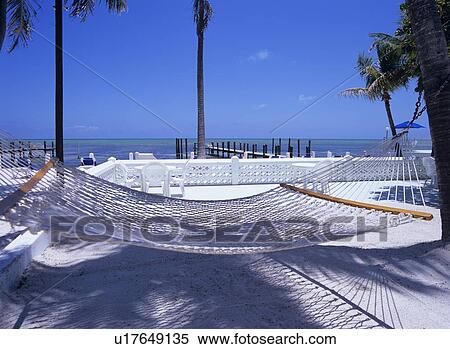 Stock Photography - Hammock and sea, Florida, USA. Fotosearch