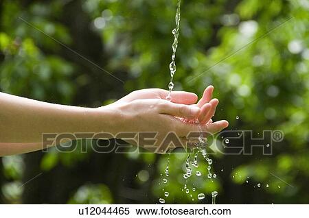Hands receiving water View Large Photo Image Stock Photography - Hands receiving water. Fotosearch