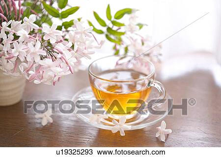 Stock Image - Jasmine tea with flowers. Fotosearch