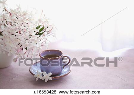Jasmine tea with flowers View Large Photo Image Stock Photo - Jasmine tea with flowers. Fotosearch