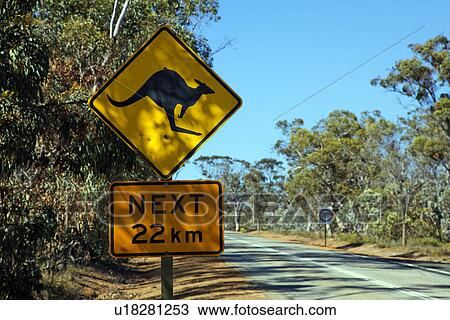 Kangaroo warning sign View Large Photo Image Stock Image - Kangaroo warning sign. Fotosearch