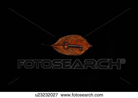 Stock Photo - Key on a Leaf. Fotosearch