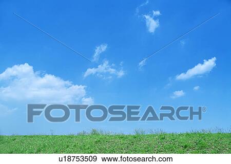 Stock Photo - Lawn. Fotosearch
