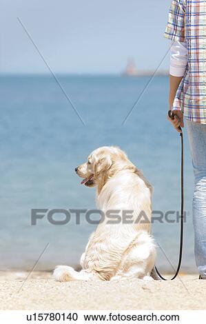 Stock Image - Man and Dog on Beach. Fotosearch