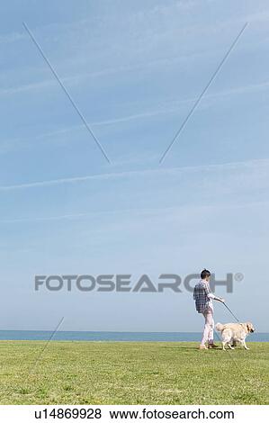 Man Walking With Dog on Grass View Large Photo Image Stock Photo - Man Walking With Dog on Grass. Fotosearch