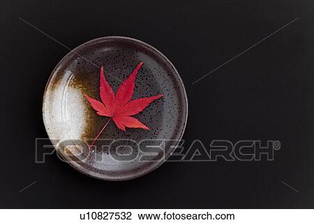 Maple Leaf In a Plate View Large Photo Image Stock Image - Maple Leaf In a Plate. Fotosearch