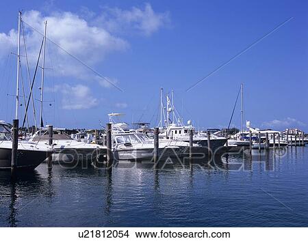 Picture - Marina, Florida, USA. Fotosearch