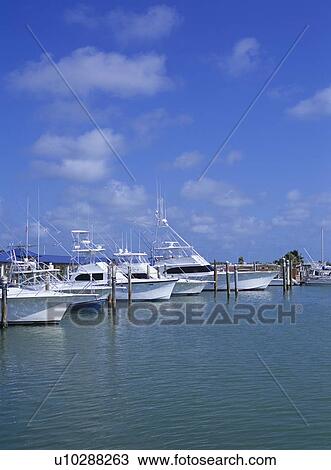 Marina, Florida, USA View Large Photo Image Stock Image - Marina, Florida, USA. Fotosearch