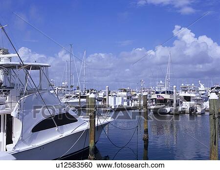 Marina, Florida, USA View Large Photo Image Stock Image - Marina, Florida, USA. Fotosearch