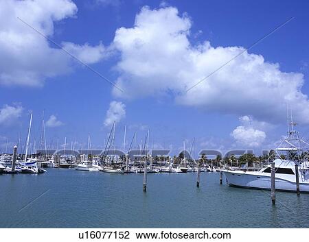 Marina, Florida, USA View Large Photo Image Stock Image - Marina, Florida, USA. Fotosearch