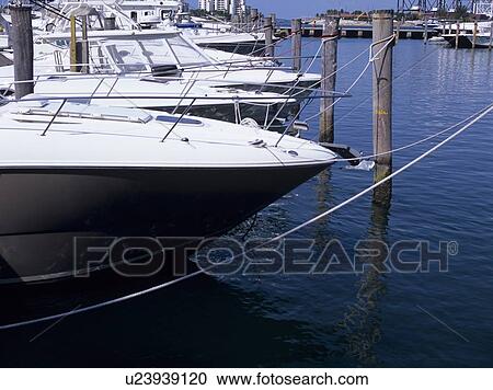 Stock Image - Marina, Florida, USA. Fotosearch