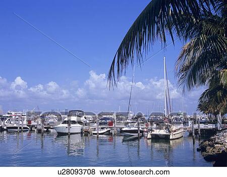 Marina, Florida, USA View Large Photo Image Stock Photo - Marina, Florida, USA. Fotosearch