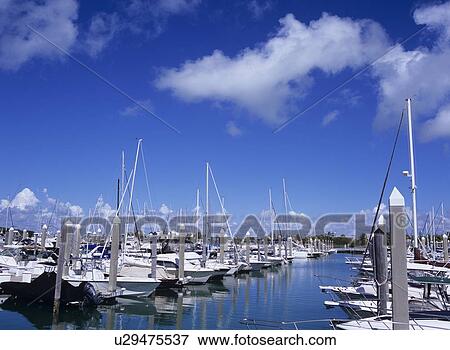 Stock Photo - Marina, Florida, USA. Fotosearch
