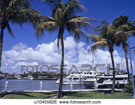 Marina, Florida, USA View Large Photo Image Stock Photograph - Marina, Florida, USA. Fotosearch