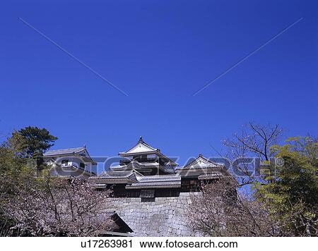 Matsuyama Castle and cherry blossoms, Matsuyama City, Ehime Prefecture, Japan View Large Photo Image Stock Image - Matsuyama Castle and cherry blossoms, Matsuyama City, Ehime Prefecture, Japan. Fotosearch