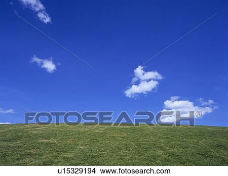 Meadow and sky, Florida, USA View Large Photo Image Picture - Meadow and sky, Florida, USA. Fotosearch