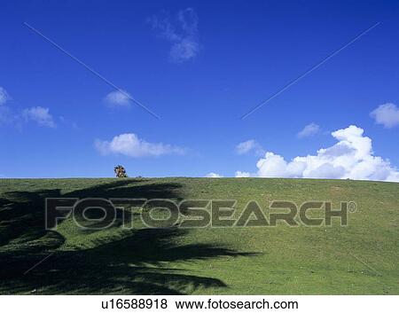 Meadow and sky, Florida, USA View Large Photo Image Stock Photo - Meadow and sky, Florida, USA. Fotosearch