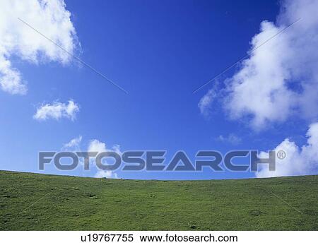 Stock Photography - Meadow and sky, Florida, USA. Fotosearch