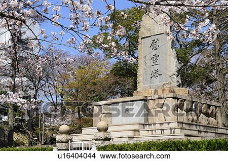 Memorial and cherry blossom trees View Large Photo Image Picture - Memorial and cherry blossom trees. Fotosearch