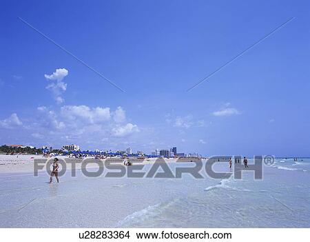 Picture - Miami beach, Miami, Florida, USA. Fotosearch