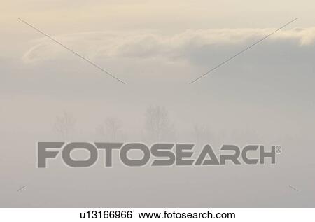 Morning Mist In Winter View Large Photo Image Stock Photograph - Morning Mist In Winter. Fotosearch