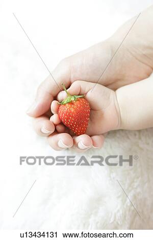 Mother holding hand of baby holding a strawberry View Large Photo Image Stock Image - Mother holding hand of baby holding a strawberry. Fotosearch