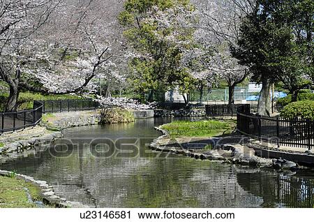 Park in spring View Large Photo Image Stock Image - Park in spring. Fotosearch