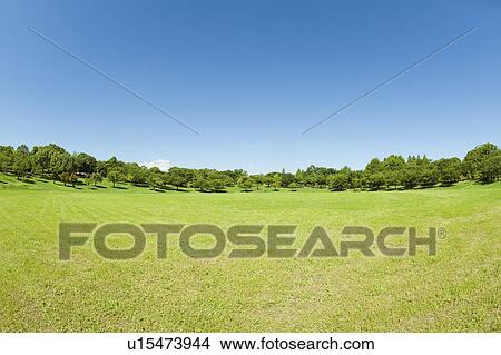 Picture - Park. Fotosearch