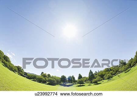 Picture - Park. Fotosearch