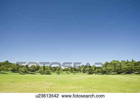 Park View Large Photo Image Stock Image - Park. Fotosearch