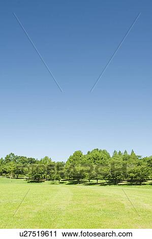 Park View Large Photo Image Stock Image - Park. Fotosearch