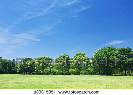 Park View Large Photo Image Stock Image - Park. Fotosearch