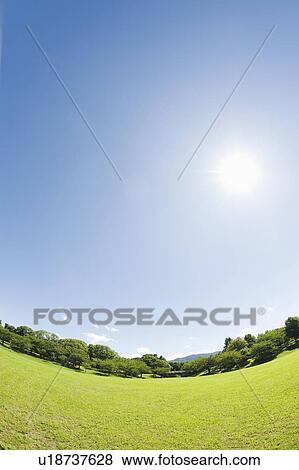 Park View Large Photo Image Stock Photo - Park. Fotosearch