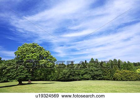 Stock Photo - Park. Fotosearch