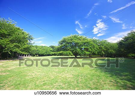 Park View Large Photo Image Stock Photograph - Park. Fotosearch