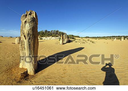 Photographer's shadow in desert View Large Photo Image Stock Image - Photographer's shadow in desert. Fotosearch