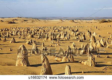 Pinnacles Desert View Large Photo Image Picture - Pinnacles Desert. Fotosearch