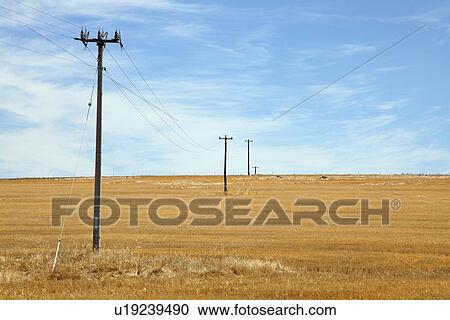 Stock Image - Powerline and fields. Fotosearch