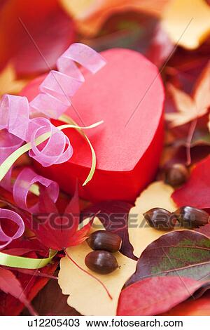 Present Box on Bed of Leaves View Large Photo Image Stock Image - Present Box on Bed of Leaves. Fotosearch