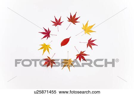 Stock Photography - Ring of Autumnal Leaves. Fotosearch