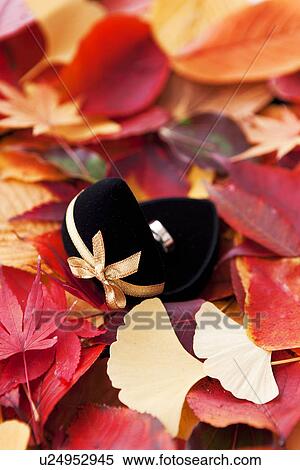 Ring on Bed of Leaves View Large Photo Image Stock Photography - Ring on Bed of Leaves. Fotosearch