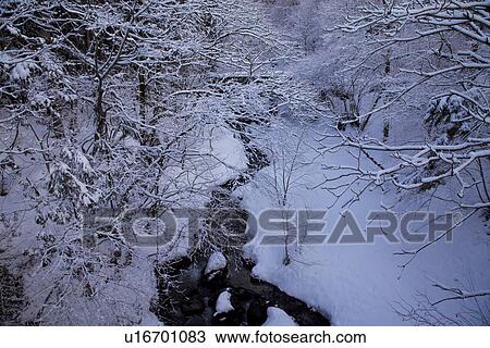 River and snowcapped woods View Large Photo Image Stock Image - River and snowcapped woods. Fotosearch