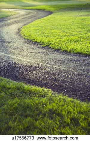 Stock Image - Road Through Park. Fotosearch