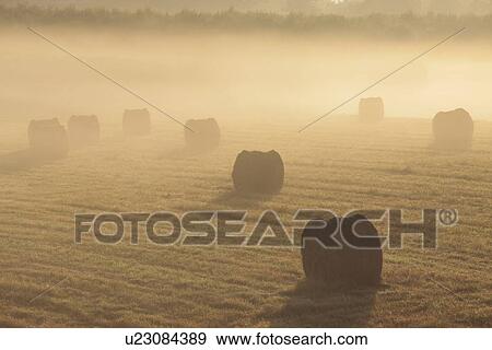 Rolled up hay bales, Mekubetsu Town, Hokkaido Prefecture, Japan View Large Photo Image Stock Photo - Rolled up hay bales, Mekubetsu Town, Hokkaido Prefecture, Japan. Fotosearch