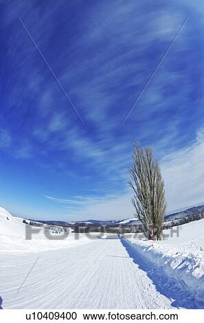 Rural Road In Winter View Large Photo Image Stock Image - Rural Road In Winter. Fotosearch