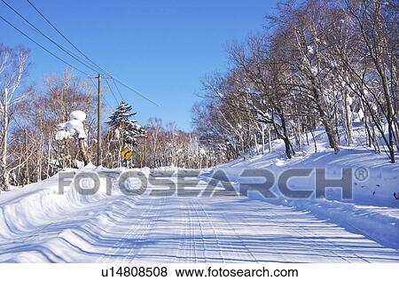 Rural Road In Winter View Large Photo Image Stock Photo - Rural Road In Winter. Fotosearch