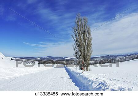 Rural Road In Winter View Large Photo Image Stock Photography - Rural Road In Winter. Fotosearch